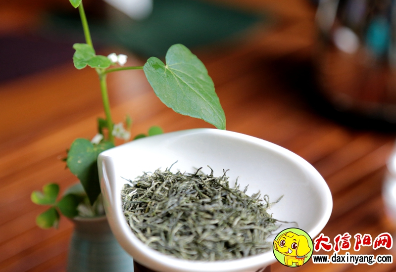 信阳九峰茶业有限公司,信阳曾静