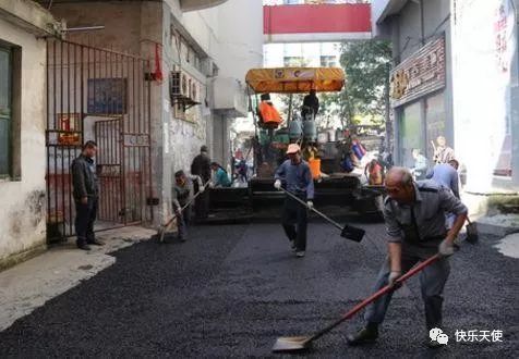 铲屎官们注意了,铲屎官们会遇到的问题