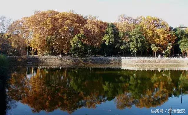 在武汉三天去哪里玩,武汉现在三日游最佳攻略