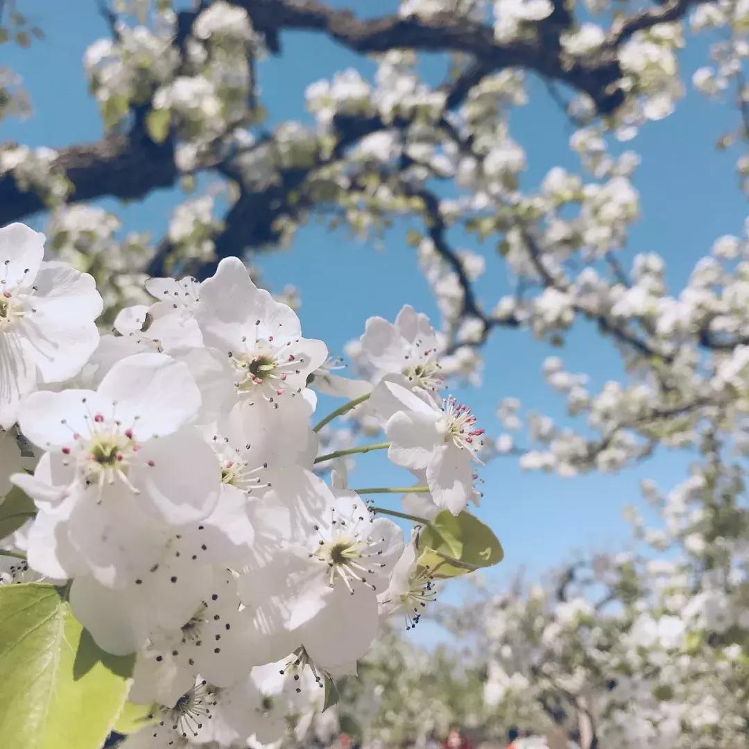 澳洲值得买的东西护眼,澳洲值得购买的平价护肤品