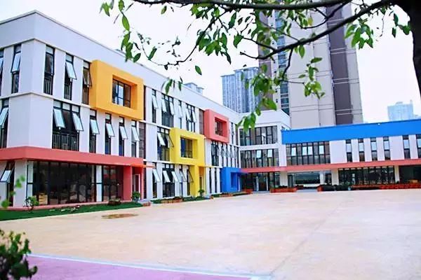 成华区2019年公立幼儿园,成华区教育学校