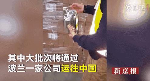 宝妈们注意了！8吨1.3箱假奶粉在海外运往中国的路上被发现了