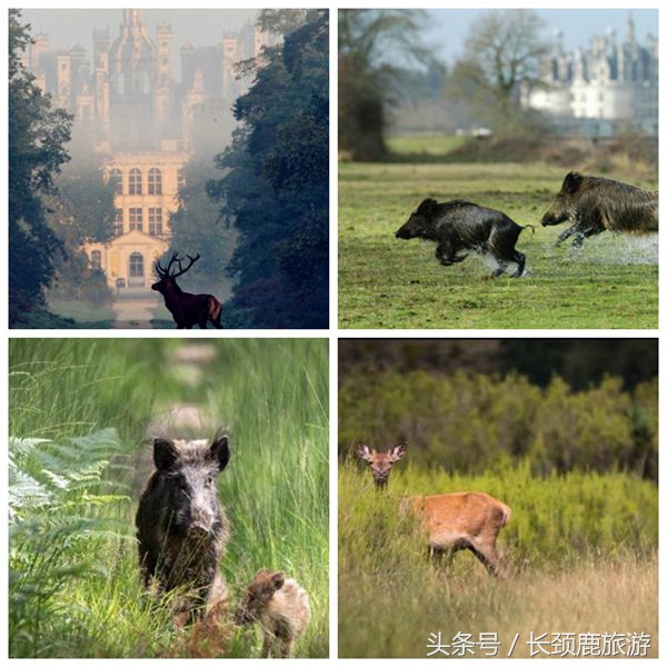 法国卢瓦尔河谷保护规划,法国卢瓦尔河谷花园城堡之旅