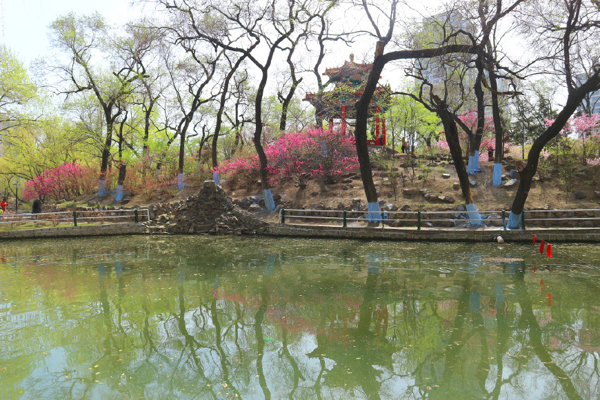 哈尔滨兆麟公园与母校一道之隔，少年时代的顽皮记忆