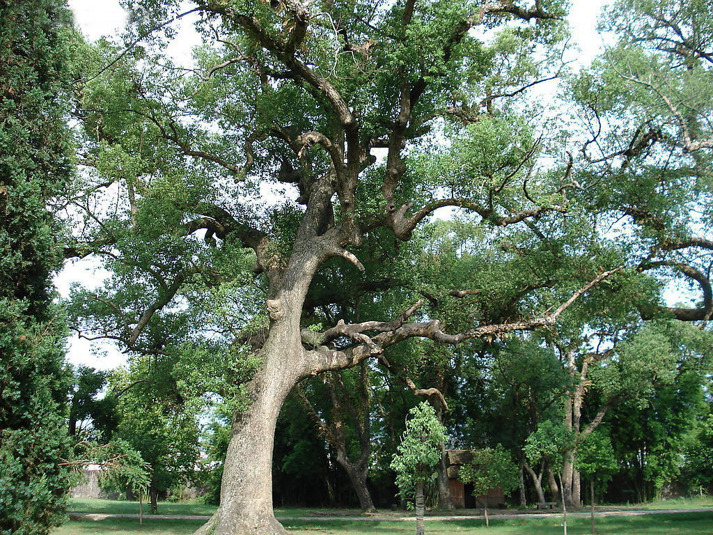 浙江有礼美丽杭州,美丽浙江换个视角看杭州