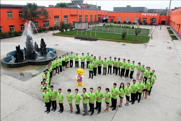 宠物行业风口,宠物行业的发展现状及前景