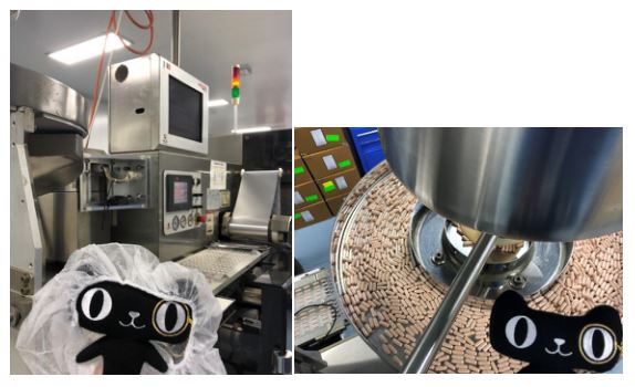 穿越澳洲小说,穿越澳大利亚视频