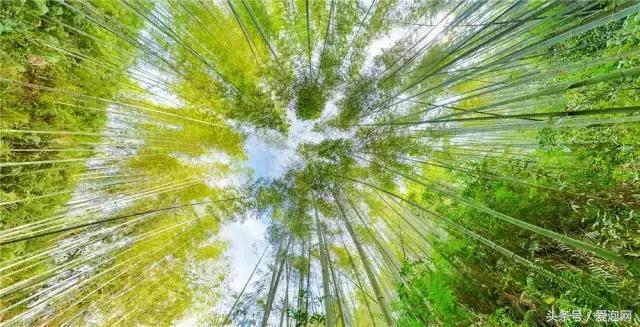 广东惠州最佳避暑景区漂流路线攻略，夏天有地方玩了