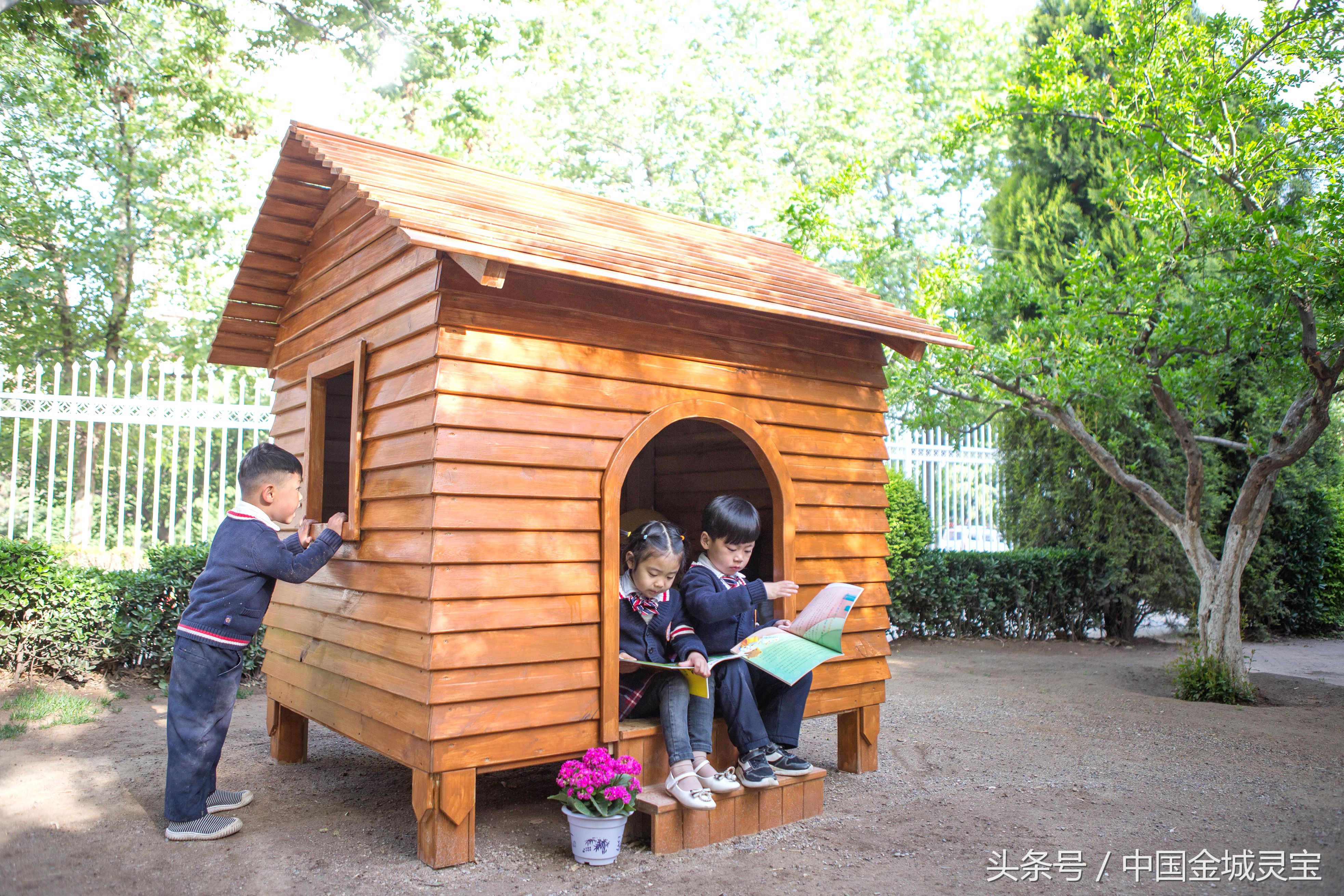 灵宝金蕾幼儿园体能训练,灵宝市金蕾幼儿园简介