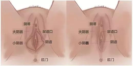 最危险的整容手术是隆胸吗,整容手术隆胸真实案例