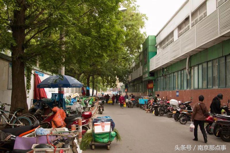 南京师大紫金校区,南师紫金