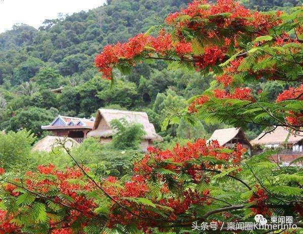 去柬埔寨要带什么玩意儿,柬埔寨金边有什么特产值得带