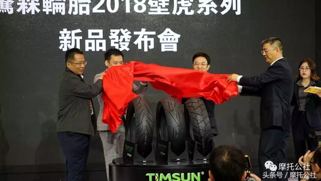 腾森壁虎系列轮胎,腾森轮胎蜥蜴