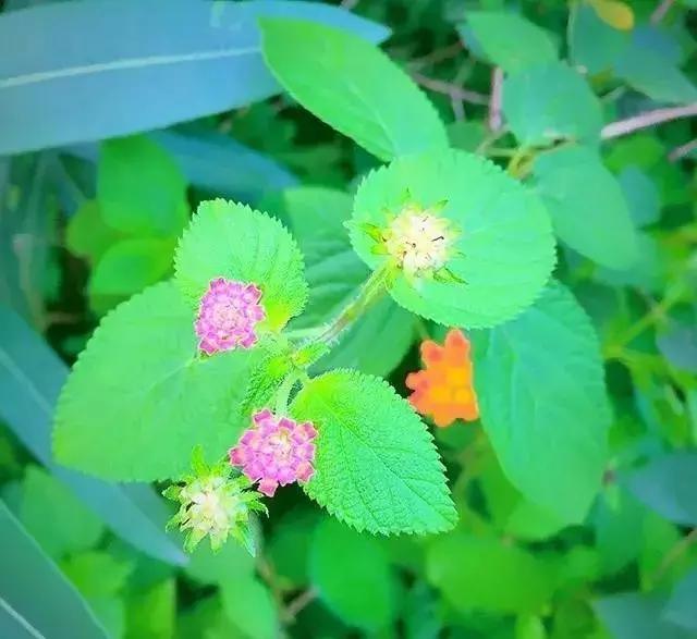 摄影怎么构图10大构图法,简单却实用的摄影技巧