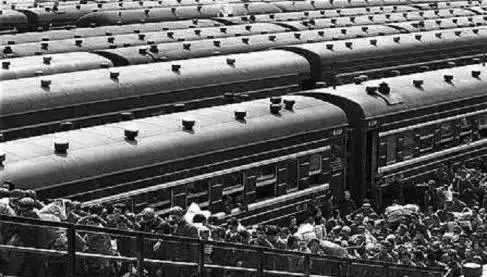 呼叫西罗园！呼叫西罗园！