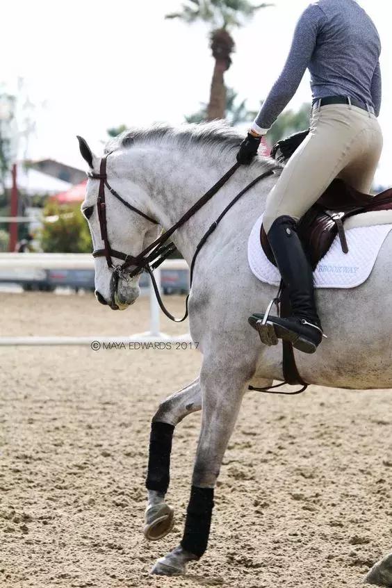 马术顶级骑手缰绳练习,马术骑手手臂和肩膀练习