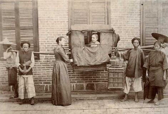 230年前美国一艘船来中国，狂卷20个亿，一种“植物黄金”被挖空