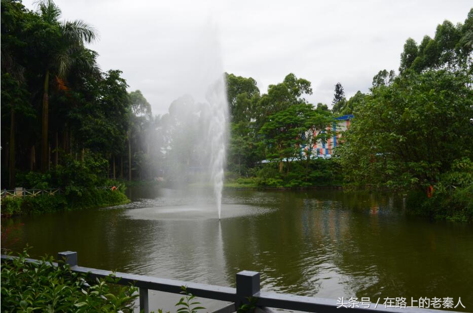 长隆野生动物园和欢乐世界哪个好,长隆欢乐世界水上乐园门票多少钱