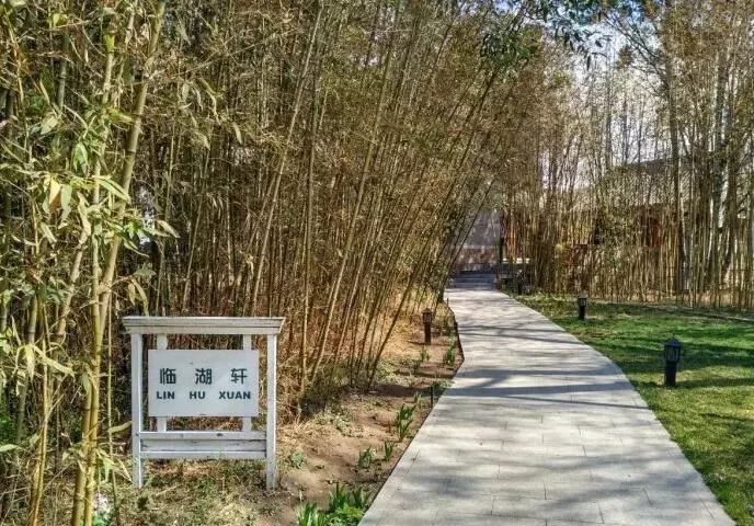 北大生日快乐 (北大生日会)