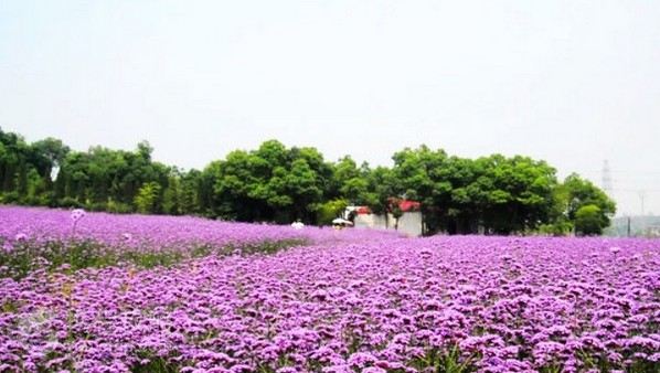 浙江杭州余杭区位置,浙江杭州余杭区地图