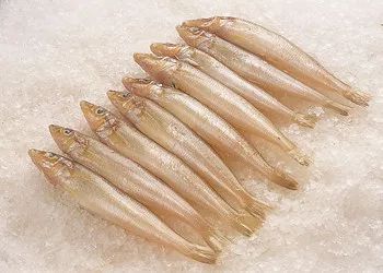 各种鱼的冷知识,盘点那些关于鱼的冷知识