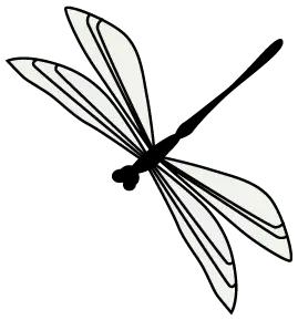 找跑腿小哥有啥风险,跑腿小哥违法