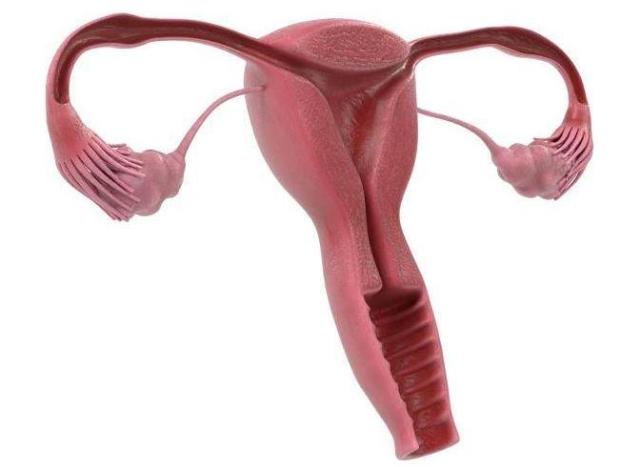 产后42天检查的项目和注意事项,产后第一天上班前要注意些什么