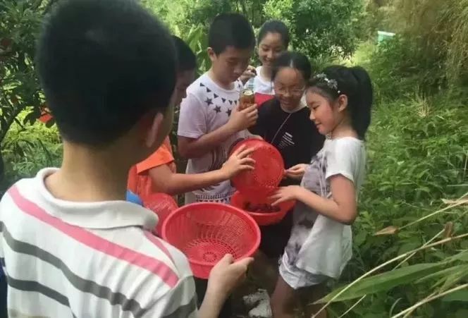 五一朝天旅游,踏青出游五一小长假怎么玩