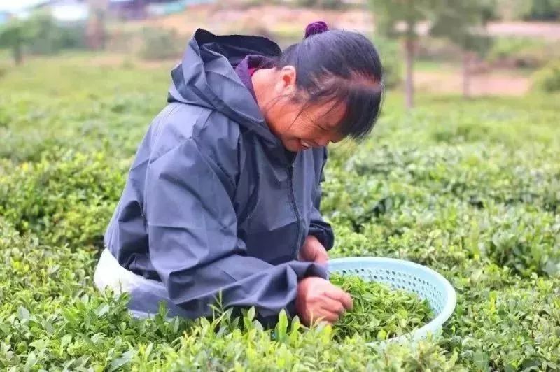五一朝天旅游,踏青出游五一小长假怎么玩