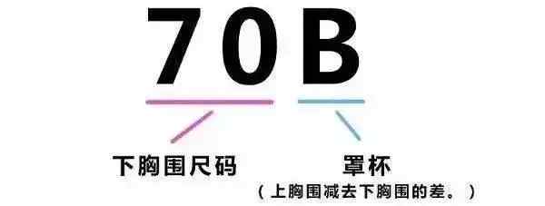 大小胸的内衣究竟怎么选？这次的真人测评不看太亏了……