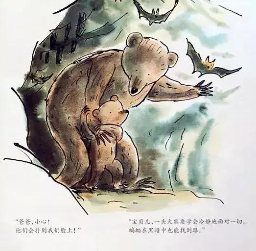 小熊和最好的爸爸长大了读后感,小熊和最好的爸爸一起长大了