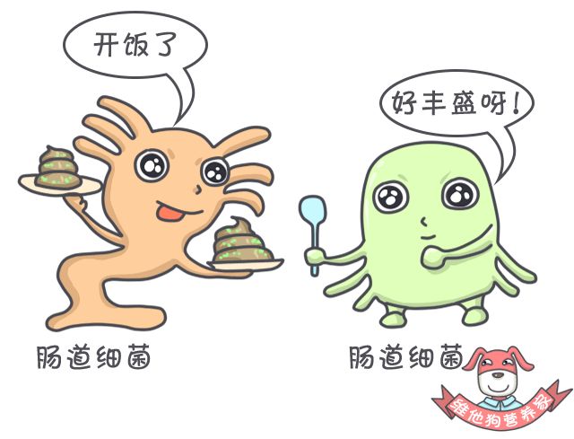 肚子胀气屁大,肚子胀气屁多吃点啥药