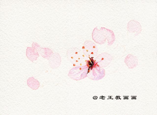 桃花桃树用彩铅怎么画,三年级简单画桃花彩铅