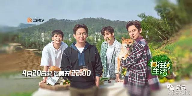 吐槽张杰土味视频,张杰吐槽土味视频