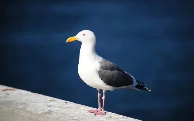 关系是麻烦出来的,好的关系都是麻烦出来的文字图片