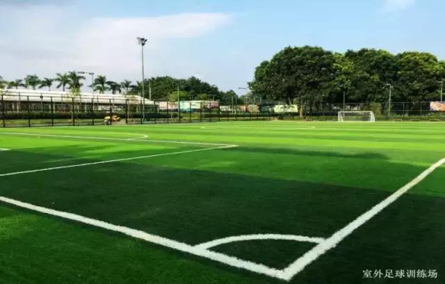 宝应鸟巢航拍,宝应鸟巢张杰演唱会