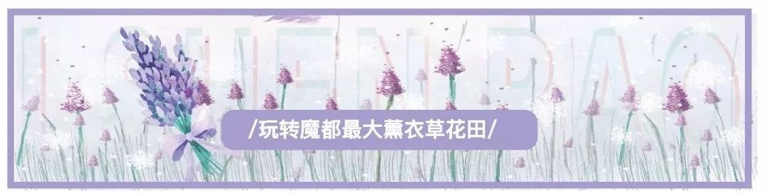 小申亲测｜小申亲测｜雨天也排长队！魔都这家古早味糕点店突然蹿红，口味么……