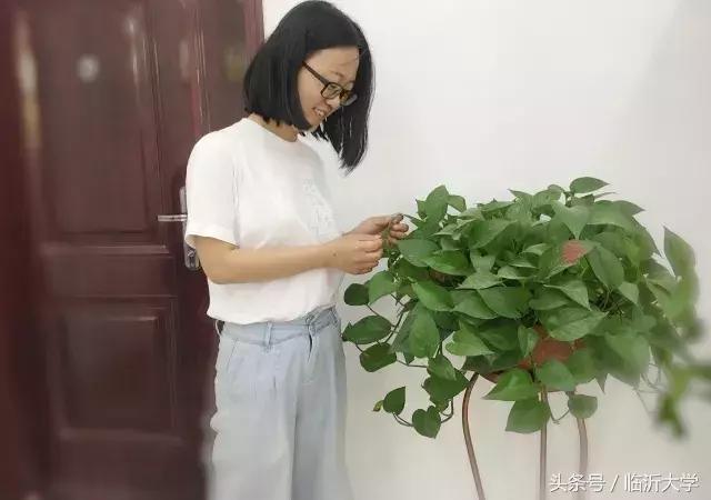 临大新榜｜2018年考研收获季，青春是用来奋斗的