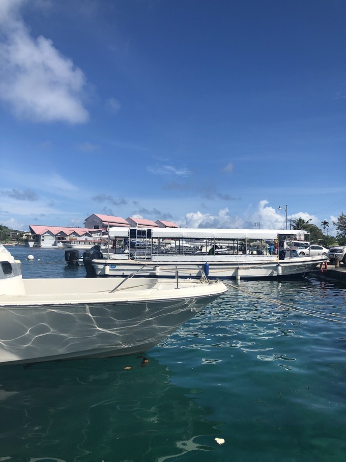 帕劳的海景风光给人美的享受,帕劳的海洋和沙滩风景图片