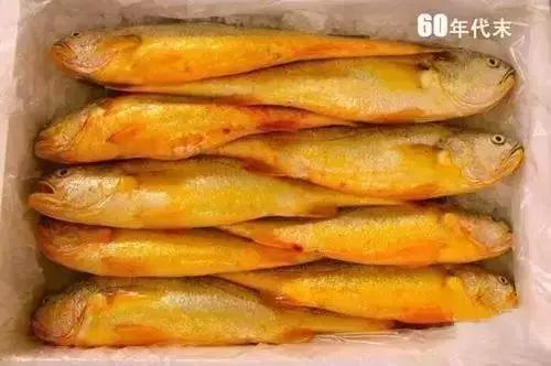 在深圳100块可以买什么,深圳10块钱能买什么