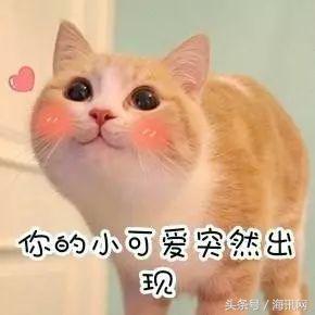 如何海淘美国牌子的衣服,怎么海淘衣服稳妥