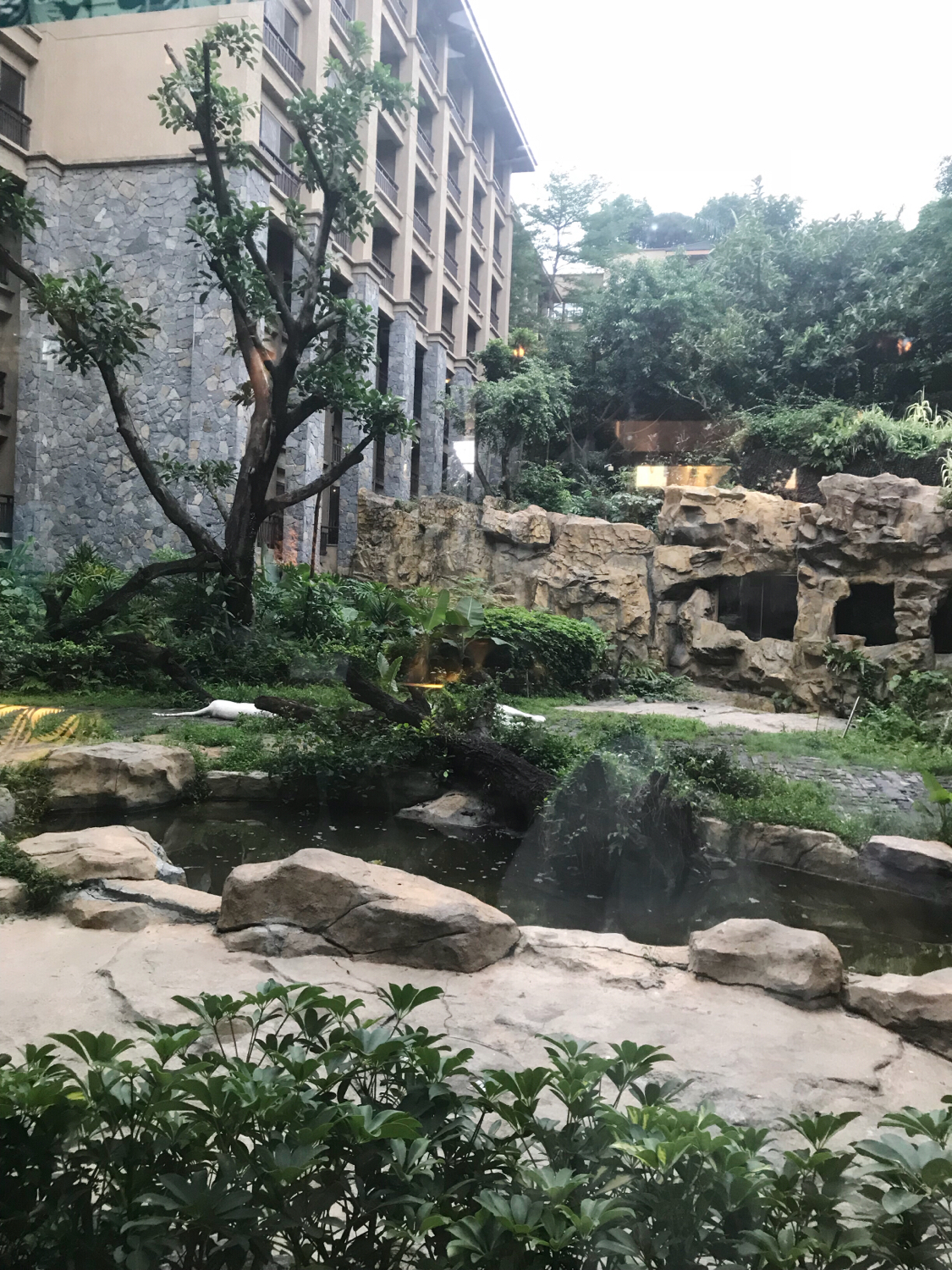 长隆酒店亲子游攻略,广州长隆酒店早餐攻略