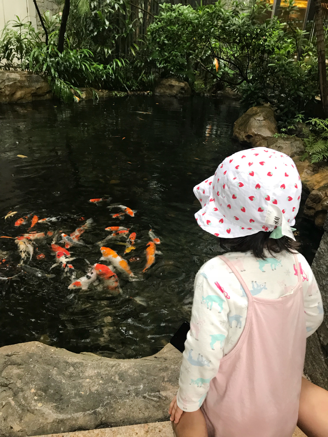 长隆酒店亲子游攻略,广州长隆酒店早餐攻略