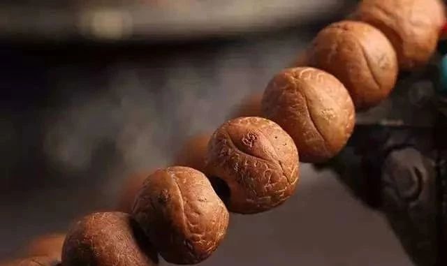 什么是凤眼菩提短桩,什么是凤眼菩提漏眼