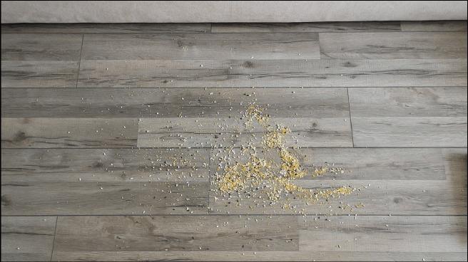 戴森无绳吸尘器v10有多少款,无绳吸尘器cyclone