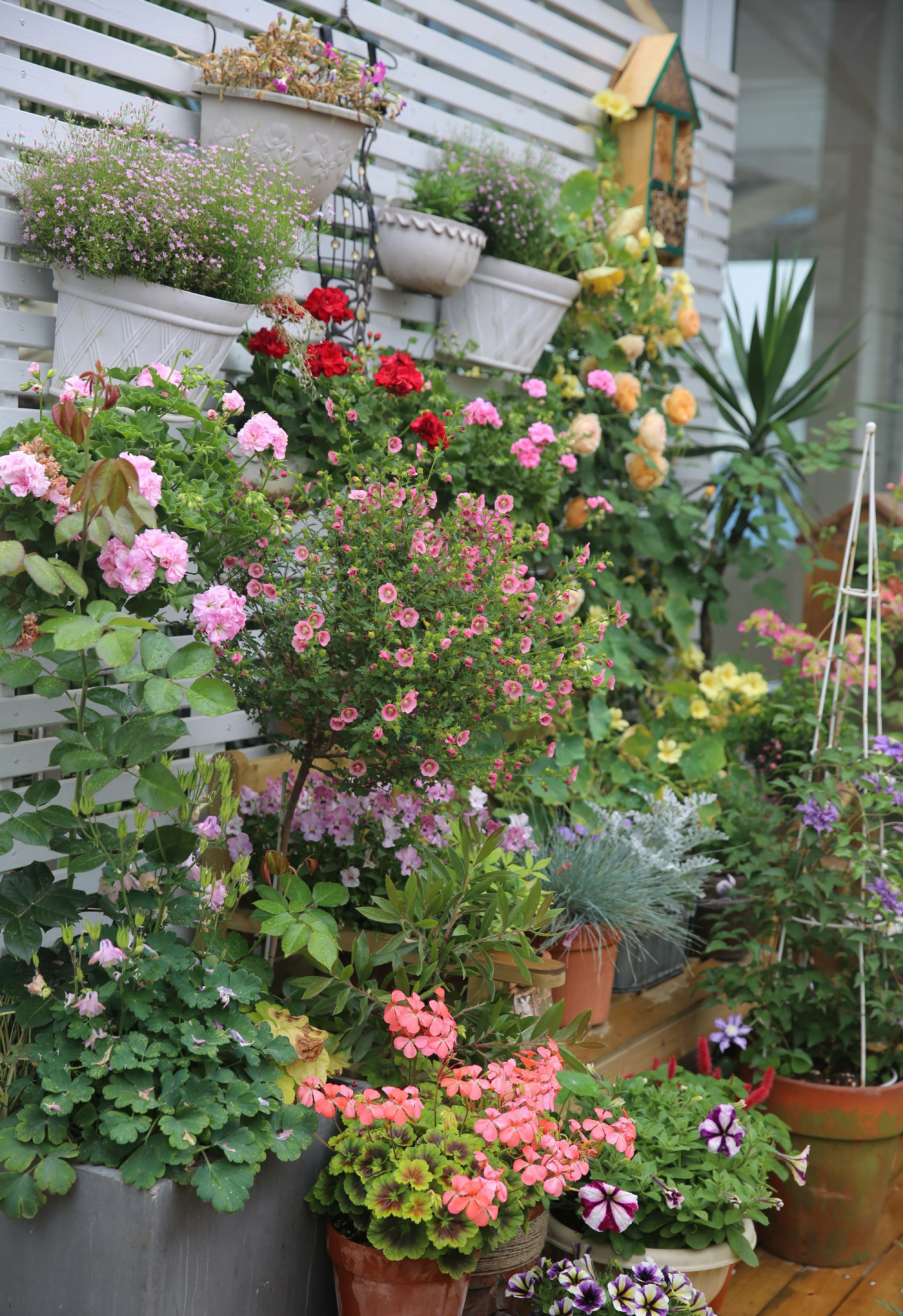 确认过眼神是从小帅到大的人,确认过眼神是个小眼睛