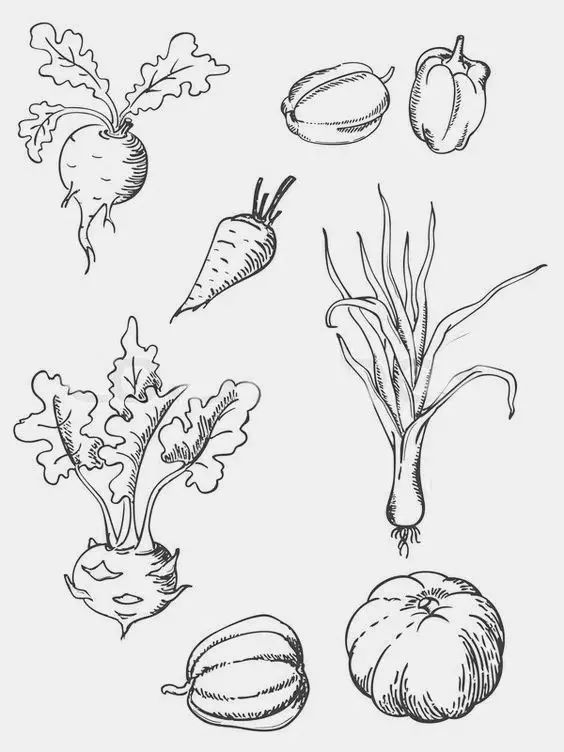 有了这些画画教程，这一年都不用买资料了