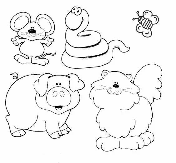 有了画画模板该怎么画,新手比较适合的画画教程