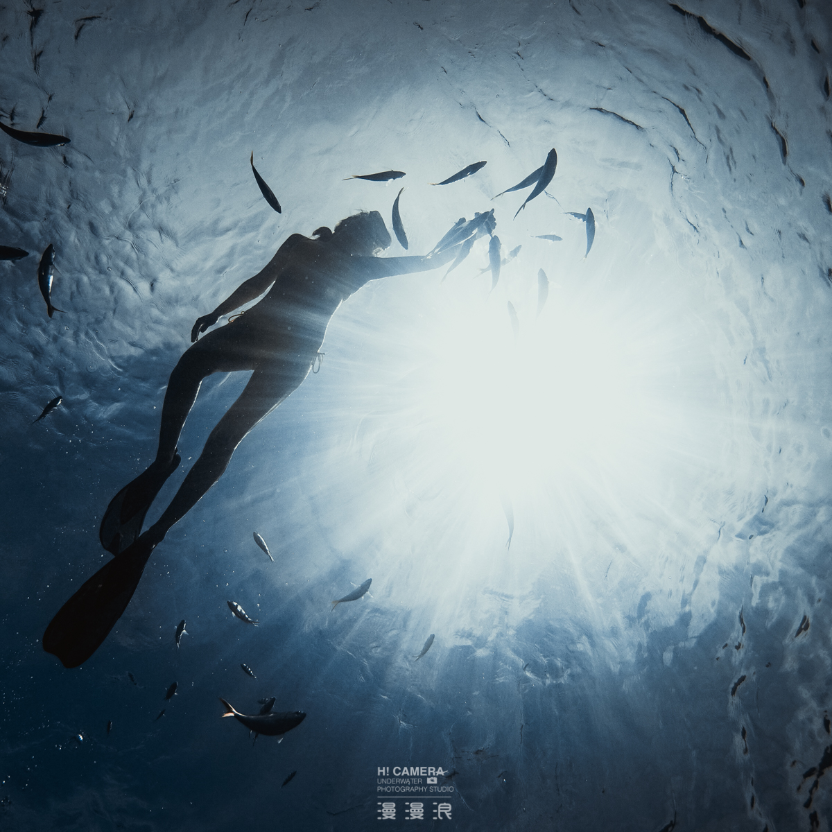 帕劳旅游的真实感受,中国可以去帕劳旅行吗