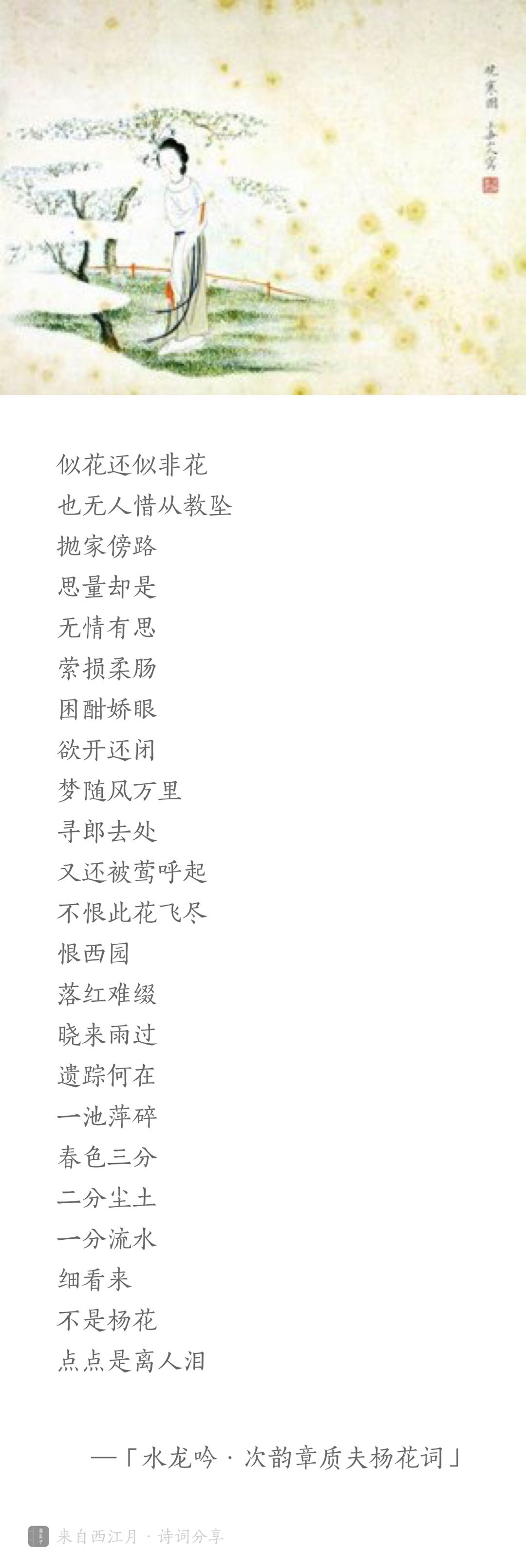 苏轼50首必背古诗朗读,宋词300首必背经典苏轼朗读